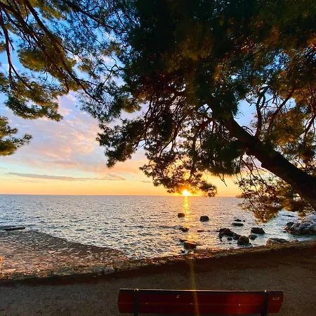 Aurelis Apartment Porec